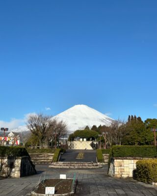 真っ白な富士山です。
公園内のクロガネモチが、葉を落としてしまいました。雪や冷たい雨が原因だと思います。
集めてハート❤️にしてみました‼️
春になれば、緑色の艶やか葉っぱが、たくさん出てくるでしょう❗️
#ハート
#クロガネモチ
#富士山
#myfuji
#御殿場中央公園
#御殿場市
#中央公園
#中央公園ミニ水族館