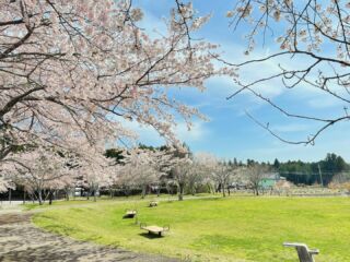 桜公園からお知らせします。
中央園区のお花見広場では、桜が満開となっています。
広場の側にあるうず巻き山の頂上からは、富士山と共に園区の桜が一望できます。
是非、ご来園してください。

#御殿場桜公園
#御殿場中央公園
#中央公園ミニ水族館
#富士山
#mtfuji
#桜
#満開
#お花見
#レクリエーション
#行楽