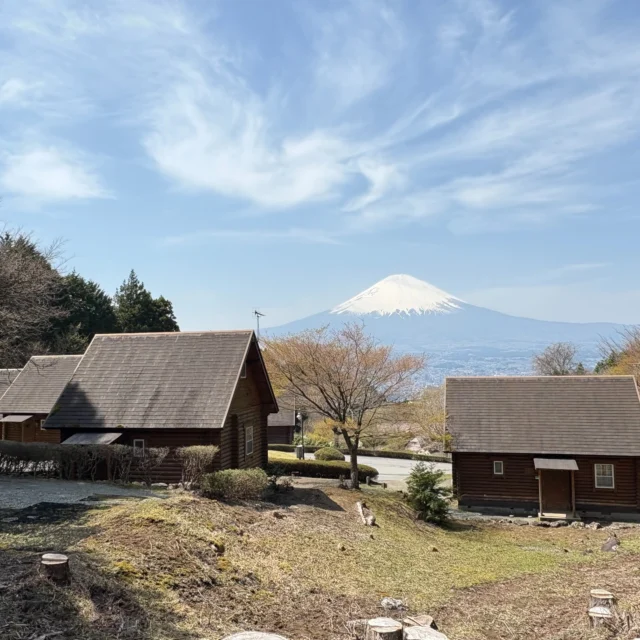 乙女森林公園第2キャンプ場です。
場内の一番上の駐車場からの景色です。
一番右のコテージCは、8名様が宿泊できる当園最大のコテージです。
#御殿場市
#乙女森林公園
#乙女森林公園キャンプ場
#コテージ
#富士山の見えるキャンプ場
#第2キャンプ場
#第1キャンプ場
#富士山
#mtfuji
#フォレスト乙女
#金時山
#箱根外輪山