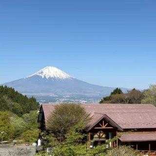 快晴の朝です!
乙女森林公園第2キャンプ場から見える富士山もきれいです‼
雪もだいぶ少なくなりました。
#乙女森林公園
#乙女森林公園キャンプ場
#富士山
#mtfuji
#御殿場市
#金時山
#箱根
#乙女峠
#富士山の見えるキャンプ場
#ゴールデンウィーク