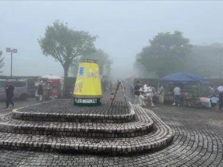 中央公園メダカ市&ふろしき市〜Spring〜事故なく無事に終了しました!
関係して下さった皆様、誠にありがとうございました!
霧の中という滅多にない状況でしたが、無事に終了できたのは皆様の協力あってのことだと思います。
次回もまたよろしくお願いいたします!
#御殿場中央公園
#中央公園メダカ市
#中央公園ふろしき市
