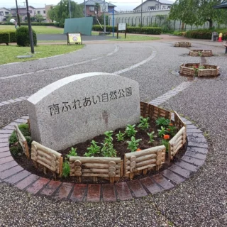 花壇の植栽が完了しました。今日から東海地方も梅雨入り…水分をたくさん取って植物が大きく育ちます！
#町中公園
#東海地方梅雨入り