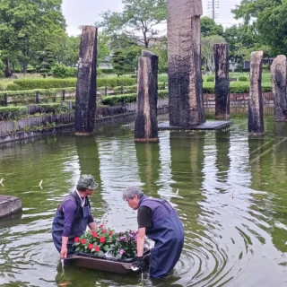 花いかだの設置作業
#花いかだ
#サンパチェンス
#御殿場市中央公園
#壁泉
#噴水
#富士山
#大きくなってね