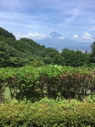 こんにちは😃乙女森林公園キャンプ場です。
もうすぐ富士山🗻も山開き。梅雨明け間近?なキャンプ日和ですね。
さて、当キャンプ場ではこの度、現地決済型のふるさと納税「ふるさと応援納税」を導入しました。
今までは、事前に手続きをしていただいてから宿泊券をお渡ししておりましたが、スマートフォンとクレジットカードがあれば、キャンプ場でチェックイン時にQRコードを読み取るだけで、ふるさと納税を利用した利用料金のお支払いができるサービスです。
当キャンプ場のホームページからも利用登録可能です。
ご検討ください。
※ご利用いただけるのは、利用料、入場料のみです。売店でのお買い物にはご利用いただけませんのでご了承ください。
#乙女森林公園キャンプ場
#御殿場市
#ふるさと納税
#キャンプ
#バーベキュー
#富士山の見えるキャンプ場