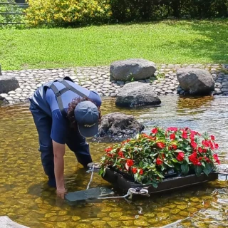 新橋せせらぎ公園 花いかだ設置しました。
#御殿場市中央公園
#せせらぎ
#花いかだ
#池
#水の流れ
#涼しい
#見に来てね
#富士山
#新橋浅間神社
#山開き
#避暑