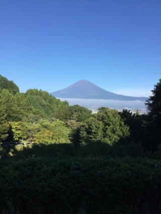 おはようございます☀乙女森林公園キャンプ場です。
もうすぐ夏山シーズンも終わりですね。皆さんは今年富士山🗻に登りましたか?
キャンプ場では、園内のブルーベリー🫐が実をつけて、色づいております。まだ赤みを帯びた実もあり、もうしばらく収穫できそうです。
#乙女森林公園キャンプ場
#御殿場市
#富士山
#乙女峠
#金時山
#ブルーベリー
