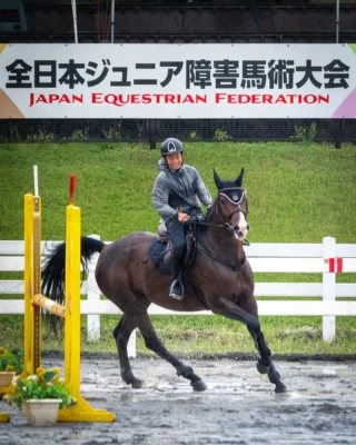 第49回全日本ジュニア障害馬術大会
9月13日 雨
#全日本ジュニア障害馬術大会 #御殿場市馬術スポーツセンター #馬術 #horseriding #horse #御殿場市 #静岡県 #gnews3776 #gotembasen_net