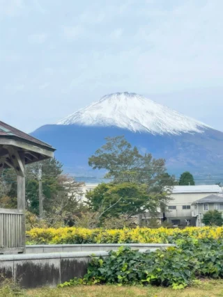 桜公園からお知らせします。
急に気温が下がってきて、富士山も綺麗に雪化粧をしています。
#御殿場市桜公園
#御殿場市中央公園
#中央公園ミニ水族館
#富士山
#mt.fuji
#雪
#雪化粧
#冠雪