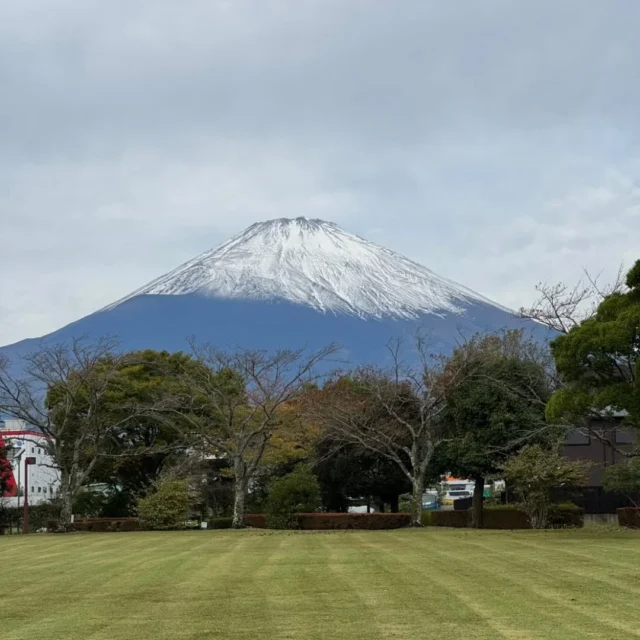 おはようございます。
今朝の富士山は雪化粧です。
きれいに刈られた芝生からクッキリと見えます。
#御殿場中央公園
#初冠雪
#富士山
#今朝は寒い
#御殿場市
#MtFuji
#曇り空
#11月9日イベント「おさきにメリークリスマス」