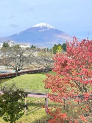 桜公園からお知らせします。
少し肌寒くなって、富士山の雪も冷たそうです。

#御殿場市桜公園
#御殿場市中央公園
#中央公園ミニ水族館
#富士山
#mt.fuji
#冠雪
#紅葉
#秋