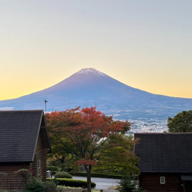 11月に入り最初の連休は、天候にも恵まれ、たくさんの皆様にご利用いただき誠にありがとうございました。
紅葉も進み、夕暮れの富士山もきれいです。
#御殿場市
#乙女森林公園
#乙女森林公園キャンプ場
#富士山の見えるキャンプ場
#富士山
#金時山
#箱根
#紅葉