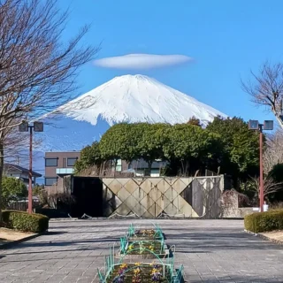 明けましておめでとうございます🎍🪁✨
本年もどうぞよろしくお願いいたします🎍✨
風は少しふいていますが暖かい陽射しの中で、お子さんと遊ぶ方々🪁や、ワンちゃんとお散歩される方々で公園も賑わっております🐕️🚶🏃

#御殿場市中央公園
#富士山に笠雲
#お正月
#ミクリ
#MtFuji