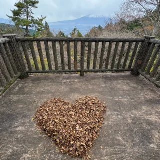 フォレスト乙女の展望台です。
落葉が💛です。
#御殿場市
#乙女森林公園
#乙女森林公園キャンプ場
#富士山の見えるキャンプ場
#市民の森フォレスト乙女
#富士山
#ハート
#金時山
#乙女峠
#箱根