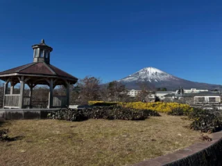 桜公園からお知らせします。
本日は本当に雲一つなく、文字通りの快晴です。
富士山もはっきりと見えています。

#御殿場市桜公園
#富士山
#mt.fuji