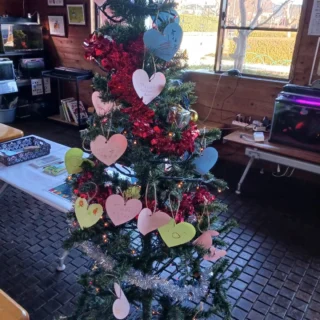 御殿場市中央公園(管理棟)です。
今年もお願い事を書いたハートがツリーにたくさんついています✨🎄✨
サンタさんにお願い事が届きますように…🎅

#クリスマス
#クリスマスツリー
#お願い事