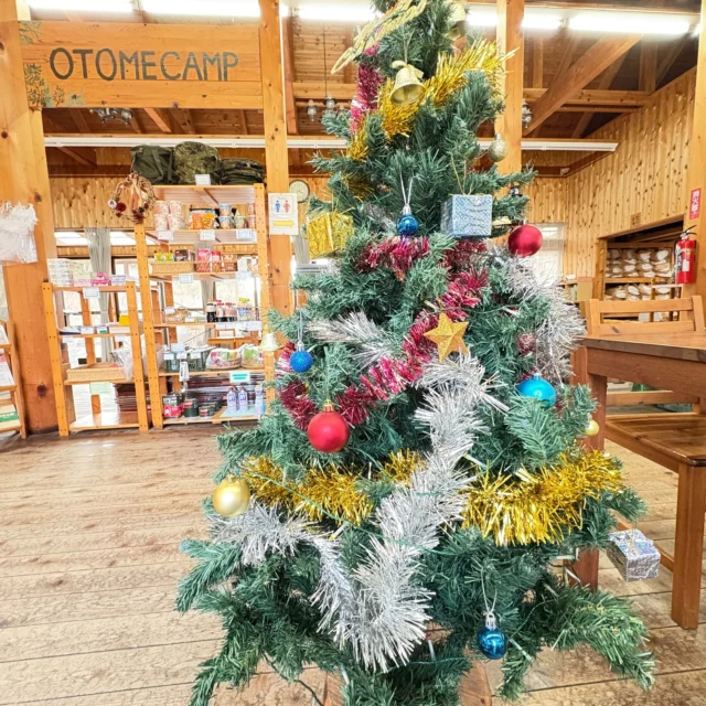 クリスマスツリー🎄
第２キャンプ場の管理棟に飾っています。
＊(お知らせ)第１キャンプ場は１２月１日から２月末まで休園させていただきます。
#御殿場市
#乙女森林公園キャンプ場
#クリスマス
#富士山の見えるキャンプ場
#年末年始も開園します
#富士山
#金時山
#箱根