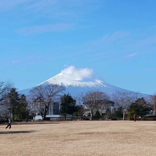 本年はお世話になりました。
2026年もどうかよろしくお願いいたします。
イベントのお知らせも随時させていただきます。
たくさんの方のご参加お待ちしております。
さっそくではありますが
1/4の日曜日、中央公園にてノルディックウォーキングを開催いたします。
新春の爽やかな朝、公園を一緒に歩きませんか？
時間は10:00～11:00
料金は380円(講師代、ポール代)
ぜひ、ご参加ください！

#御殿場中央公園 
#ノルディックウォーキング 
#ミクリ
#年末のご挨拶 
#感謝