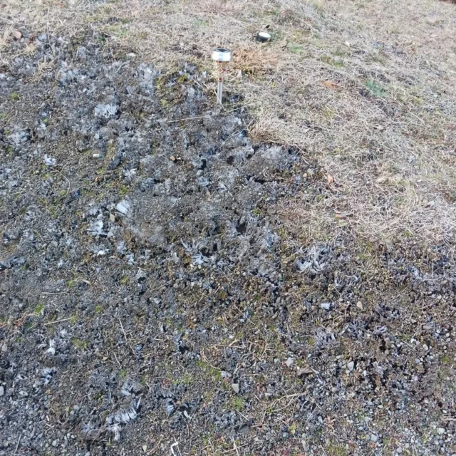 おはようございます。乙女森林公園キャンプ場です。

今朝の最低気温は-0.3℃ととても寒い連休のスタートとなりました。

キャンプ場では、テントサウナ用に貸し出ししておりました、インフィニティチェアを単品で貸し出しを始めました。たき火を眺めながらゆったりキャンプいかがですか？数に限りがあるので、ご希望の方お早めにご予約ください。

これからキャンプ地をお探しの方も、オートサイト、コテージ共にまだ空きがある日がございますので、予約サイトを確認してみてください。

#乙女森林公園キャンプ場
#御殿場市
#年越しキャンプ
#ミクリ
#micri