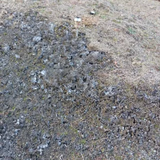おはようございます。乙女森林公園キャンプ場です。

今朝の最低気温は-0.3℃ととても寒い連休のスタートとなりました。

キャンプ場では、テントサウナ用に貸し出ししておりました、インフィニティチェアを単品で貸し出しを始めました。たき火を眺めながらゆったりキャンプいかがですか？数に限りがあるので、ご希望の方お早めにご予約ください。

これからキャンプ地をお探しの方も、オートサイト、コテージ共にまだ空きがある日がございますので、予約サイトを確認してみてください。

#乙女森林公園キャンプ場
#御殿場市
#年越しキャンプ
#ミクリ
#micri