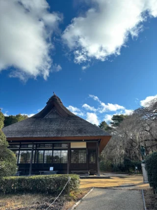 🎍✨新年あけましておめでとうございます✨🎍
本年も秩父宮記念公園をどうぞよろしくお願いいたします。

秩父宮記念公園は
本日【1月2日】より開園いたしました。

1月2日・3日の2日間限定で
甘酒の無料配布（数量限定）
1月7日まで
新年を彩る植物展示
を行っております。

また、明日1/3は管理棟休憩所で三味線演奏が行われます。(11時頃から終了時間未定)

澄んだ冬の空気の中、庭園の景色とともに
新春ならではのひとときをお楽しみください。
新しい一年の始まりに、心落ち着く時間をお過ごしいただければ幸いです。

皆さまのご来園を心よりお待ちしております。

※1/5は休園日となっております。

#秩父宮記念公園
#2026年
#甘酒無料配布
#庭園散策
#御殿場