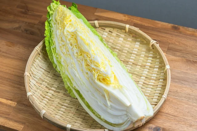 .
　
御殿場市民会館カルチャー
Ｔｏｋｉｂａｃｏ料理教室
意外に知らない基本食材の調理法を学ぼう
～余った鍋野菜を使い切ろう 白菜～　
開催のお知らせ📢

　
御殿場市内の人気カフェTokibaco店主を講師に迎え、
意外に知らない身近な食材の調理法を学ぶ講座を開催します。
　
今回は『白菜』を使って、
食材の切り方、炒め方、ゆで方などを基本から学びます。
　
馴染み深い野菜料理のレパートリーを増やしてみませんか？
料理が苦手な方、初心者の方でも参加していただけます。
親子参加も可能です。
　
　
▶︎ 開  催  日　2／25（水）
▶︎ 開催時間　19:00～20:30
▶︎ 場　　所　御殿場市民会館　調理実習室
▶︎ 受  講  料　3,800円（税・材料費）
▶︎ 対　　象　小学生から参加可
　　　　　　未成年は保護者の付き添いが必要
▶︎ 定　　員　10組
　
　
お申し込みは電話または窓口にて受付中です。
お気軽にお問合せください🙇‍♂️✨
　
主催・問合せ
御殿場市民会館 📞 0550-83-8000