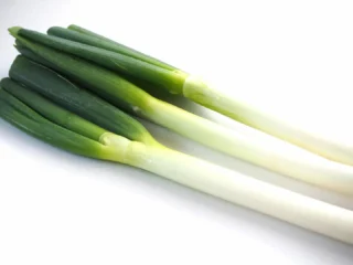 .
　
御殿場市民会館カルチャー
Ｔｏｋｉｂａｃｏ料理教室
意外に知らない基本食材の調理法を学ぼう
～余った鍋野菜を使い切ろう 長ねぎ～　
開催のお知らせ📢
　
　
御殿場市内の人気カフェTokibaco店主を講師に迎え、
意外に知らない身近な食材の調理法を学ぶ講座を開催します。
今回は『長ねぎ』を使って、
食材の切り方、炒め方、ゆで方などを基本から学びます。
　
馴染み深い野菜料理のレパートリーを増やしてみませんか？
料理が苦手な方、初心者の方でも参加していただけます。
親子参加も可能です。
　
　
▶︎ 開  催  日　3／25（水）
▶︎ 開催時間　19:00～20:30
▶︎ 場　　所　御殿場市民会館　調理実習室
▶︎ 受  講  料　3,800円（税・材料費）
▶︎ 対　　象　小学生から参加可
　　　　　　未成年は保護者の付き添いが必要
▶︎ 定　　員　10組
　
　
お申し込みは電話または窓口にて受付中です。
お気軽にお問合せください🙇‍♂️✨
　
主催・問合せ
御殿場市民会館 📞 0550-83-8000