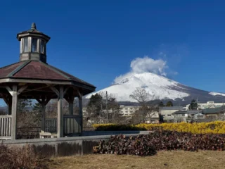 桜公園からお知らせします。
富士山の雪が、麓まで厚く積もっていますが、
公園内の雪は溶けています。

#御殿場市桜公園
#御殿場市中央公園
#mt.fuji
