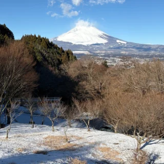 おはようございます。
今朝は－3度でした。富士山も雪をまとった冬の姿になりました。
乙女森林公園キャンプ場までの道路には雪はありませんが、今季一番の寒波到来中、朝晩の凍結には十分ご注意ください。
#乙女森林公園キャンプ場
#御殿場市
#富士山
#mtfuji
#富士山の見えるキャンプ場
#箱根
#金時山
#寒波
#ミクリ
#micri