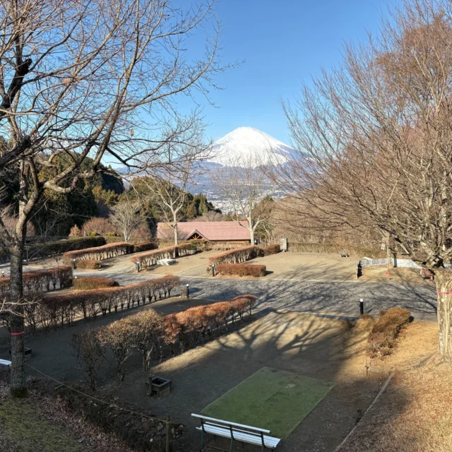 おはようございます。
寒い寒い１日の始まりです。
空気は澄んでいて、オートキャンプサイトから富士山がきれいに見えています。
#御殿場市
#乙女森林公園
#乙女森林公園キャンプ場
#富士山の見えるキャンプ場
#第２キャンプ場
#富士山
#金時山
#箱根
#ミクリ
#micri