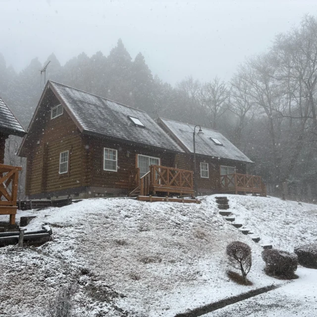 おはようございます。
雪の朝です。
スタットレスタイヤやチェーンなどの冬の装備でお気をつけてお越しください。
#雪
#御殿場市
#乙女森林公園キャンプ場
#富士山
#箱根
#金時山
#ミクリ
#micri
