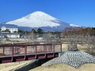 桜公園からお知らせします。
本日は、富士山は真っ白ですが、桜公園の雪は殆ど溶けました。
気温も暖かく、外で遊ぶには良い日和です。

#御殿場市桜公園
#富士山
#mtfuji