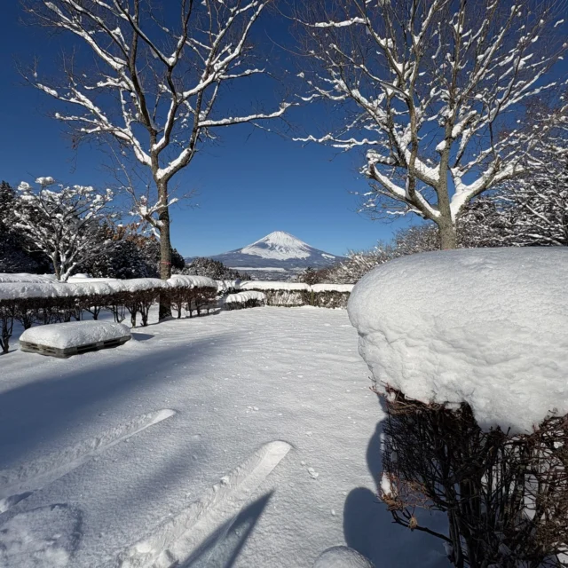 今日は一昨日から降り続いた雪もやみ、青空の朝です。雪は15㎝ほど積もりました。
乙女森林公園キャンプ場までの道路はチェーンなど滑り止めが必要で、キャンプ場内も滑り止めが必要です。
ご利用の際は、お気をつけてお越しください。
また、積雪によりキャンセルを希望される方は、お電話(0550-82-7870)をお願いします。
#乙女森林公園キャンプ場
#御殿場市
#雪
#積雪あり
#富士山
#金時山
#箱根
#富士山の見えるキャンプ場
#ミクリ
#micri