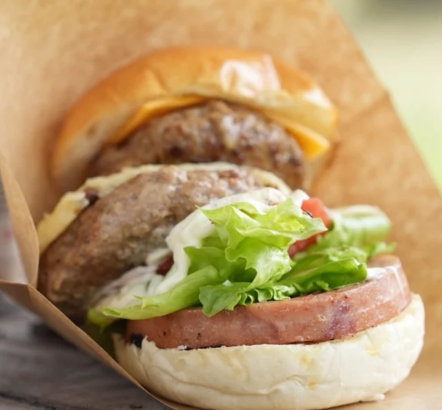 こんにちは市民会館です😃
3月14日(土)と15(日)は第7回御殿場パンフェスとスイーツまつりが開催されます！！
市内や各地で人気にお店が大集合！これを機に新しい食との出会いを探してみませんか？

今日も昨日に引き続きがっつりでいこうと思います！！

1枚目「ぶた牧場」
御殿場から参加のお店です。
富士金華豚を使用した豚肉料理専門店のハンバーガーです！このレンばかりの具で大満足です。知っていましたか？豚肉の油ってジューシーで甘ーいんですよ😋
3/14、15両日調理エリアでの販売です。

3枚目「Farmer Deli&Cafeふくろう」
御殿場市からの参加のお店です。
無農薬自家栽培の野菜を使用した3種のバーガーがどれも美味しそうで目移りしてしまいます。サイドメニューも充実しているのでちょこっと食べにもオススメです✨
3/15キッチンカーエリアにて販売です。

4枚目「Jimmy’s kitchen」
藤枝市からの参加です。
濃厚な特性醤油誰に漬け込んだサクッモチっとしたからあげをなんとバンズに挟んでみました！
これはわんぱく！絶対美味しい。ロングポテトと一緒にガッツリご飯にしても、サクッと単品で頬張っても良い感じ。
3/14、15両日調理エリアでの販売です

5枚目「M‘sTACOS
富士市から参加のお店です
自家栽培の無農薬野菜にこだわりの調味料、スパイスなどお子様でも安心してお召し上がりいただける辛さ調節できるタコスです。
メキシコ在住経験のある店主の本格的なタコスをぜひご賞味あれ！！
3／14キッチンカーエリアにて販売します！！

まだまだ紹介は続きます！

#御殿場パンフェス
#御殿場市民会館 
#グルメイベント
#静岡県
#美味しいもの