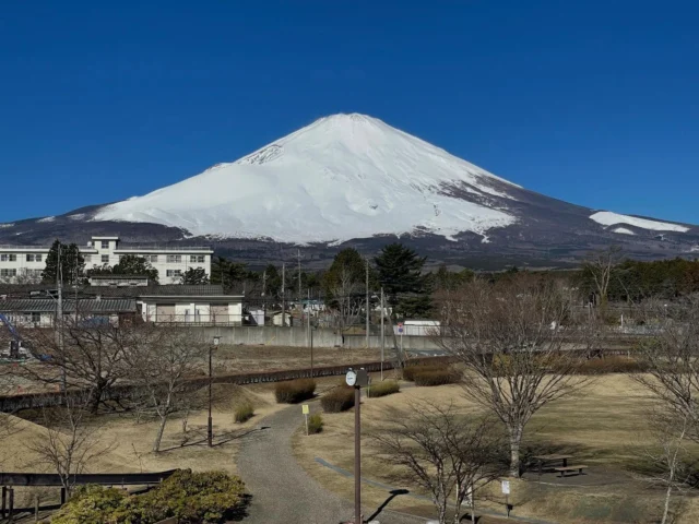 御殿場市、桜公園からお知らせします。
本日は富士山が裾野まで真っ白です。
気温は、大分暖かくなりました。

#御殿場市桜公園
#富士山
#mtfuji