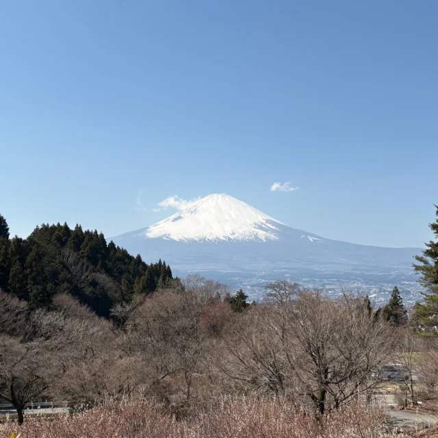 連休中日、本日も多くの皆様にご利用いただきありがとうございます。
春霞の富士山⁉
#乙女森林公園キャンプ場
#御殿場市
#富士山の見えるキャンプ場
#富士山
#春霞
#金時山
#箱根
#春分
#ミクリ
#micri