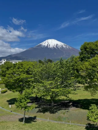 桜公園からお知らせします。
本日は、こどもの日です。
五月晴れで、風も穏やかになりました。

#御殿場市桜公園
#富士山
#mtfuji