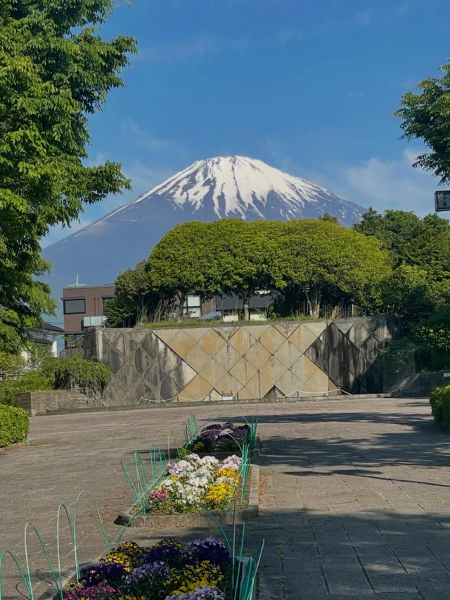 【御殿場市・中央公園　メダカ市&ふろしき市】
本日イベント開催します！！
気温が高くなる予報ですので対策をしてお越しください！！
#御殿場中央公園
#中央公園メダカ市
#中央公園ふろしき市
#御殿場イベント
#ミクリ