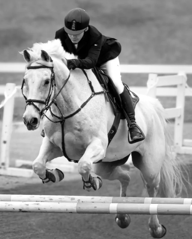 令和8年5月22日(金)～24日(日)
第60回SHIZUOKAホースショーが開催されています。

馬場馬術・障害飛越競技の競技会となります。一般の観戦は自由です。

#御殿場市馬術スポーツセンター #馬術