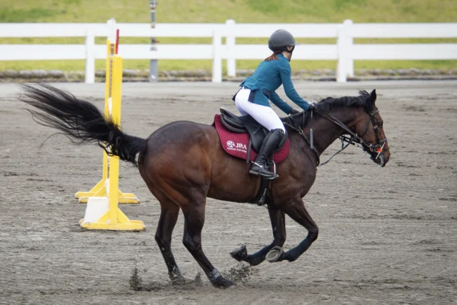令和8年5月22日(金)～24日(日)
第60回SHIZUOKAホースショーが開催されています。

馬場馬術・障害飛越競技の競技会となります。一般の観戦は自由です。

#御殿場市馬術スポーツセンター #馬術
