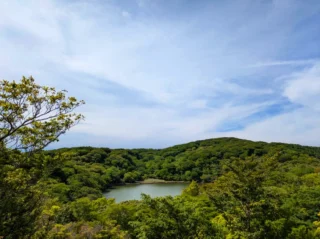 伊豆には神秘の池がある、、、、、、

そんな話を聞いたので企画してみました！
伊豆半島の奥深く、天城山中にひっそりと佇む
「八丁池」。
ブナやヒメシャラの森に囲まれ、鏡のような水面に、
その日その日の自然を映し出す。

と、いうことで5/26は天候に恵まれスタート✨️
サンショウや野イチゴの群生が目立つ林道、こんこんと流れる川を傍らに、ブナやヒメシャラの森に癒され、ジブリに出てきそうなアセビのトンネルに心弾ませ、、、、、、

「八丁池」🥾💦
辿り着きました！
けっこう歩きました！

頑張って歩いたご褒美は、空の青と流れる雲が相まってキレイなコントラスト。
カラッとした空気、湿度は何処へ行ったのか！？という程に気持ちがよい✨️心地がよい

目的の「八丁池」はというと、、、
森が深い緑に覆われたので、深緑。
所々に空の青がうっすらと映し出されていたような、、、。
この日は神秘というよりかは、濃いお茶を池にいっぱい溜め込んだ渋みのある池でした！
別の日は、違う色をしているんだろうな〜!?

何より無事に到着できて一安心💦

展望台からは、ひょっこり富士山や大島、相模灘の眺望を満喫👀
八丁池以外にもご褒美がありました✨️

ご参加いただいた皆様、そしてガイドのやまぼうしの皆様、ありがとうございます🙇

次回の山歩きは7/14霧ヶ峰最高峰の車山トレッキングです！
また楽しみましょう‼️

その他にも山歩きあります！
▶「富士山みくりやの旅」で検索

#御殿場
#富士山
#富士登山
#トレッキング
#ミクリ
