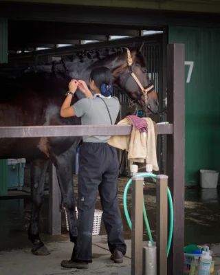 「乗ること」だけが馬との関わりではないという。

人馬一体は、
鞍にまたがった瞬間に生まれるものではないと感じる。

手入れをする時間。
触れる時間。
黙って隣に立つ時間。

積み重ねた日々が、
やがて「信頼」という形になる。

パートナーとの大切な時間。

一度近くの乗馬クラブに足を運んでみてはいかがだろう。

競技というフィルターを外して、ただ馬という存在と静かに向き合ってみる。

そこにはきっと、私たちが想像するよりもずっと優しく、贅沢な時間が流れているはずだ。

#馬場馬術 #Dressage #人馬一体 #馬との時間 #御殿場市馬術スポーツセンター