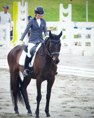 馬場馬術。

馬と人が呼吸を合わせ、
互いを信じて積み重ねた時間が、
一つの姿になる。

#馬場馬術 #乗馬 #Dressage #御殿場市馬術スポーツセンター