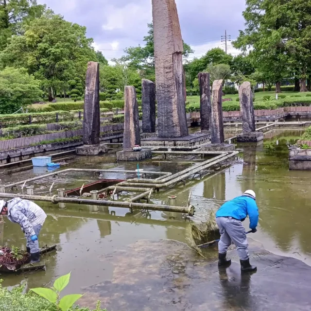 【中央公園　噴水池・壁泉の清掃
実施のお知らせ】

6/29~7/1の期間で、中央公園内の｢希望の池｣及び｢金明の泉｣の清掃を実施いたします。

上記期間は作業のため、噴水の作動を停止いたしますのでご承知おきください。

※作業の状況によっては期間が延長する可能性がございます。

噴水を楽しみにご来園いただいております皆さまには、ご不便をおかけいたしますが、ご理解のほどよろしくお願いいたします。

#御殿場市
#池をキレイにしよう
#金魚のいる池
#噴水
#花いかだ
