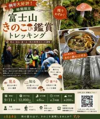 .
.🍄例年大好評！時期限定企画🍄

今年も「富士山きのこ鑑賞トレッキング」を開催します！

富士山須走口五合目の豊かな森を、プロガイドと一緒に歩きながら、秋ならではのきのこを観察🔍

見つけたきのこは山小屋スタッフが種類や特徴をわかりやすく解説します。

トレッキングの後は、東富士山荘名物のきのこ鍋セットをご賞味🍲
「見る・知る・食べる」を一度に楽しめる、この時期だけの特別なツアーです。

🍂例年人気のため、お申し込みはお早めに！

━━━━━━━━━━━━━━
📅 開催日：9月11日（金）
💰 旅行代金：12,000円（税込）
🥾 歩行距離：約6km
⏰ 歩行時間：約3時間
⛰ 高低差：約200m

👨‍👩‍👧‍👦 おひとりでも、親子でも、友人と一緒でも大歓迎！

📍バス乗車地🚌
・御殿場市民会館
・御殿場駅乙女口

📲 詳細・お申し込みはプロフィールに記載のURLをクリック！

━━━━━━━━━━━━━━

秋の富士山でしか味わえない自然との出会いを、一緒に楽しみませんか？🍄🌲

#御殿場 #富士山 #須走口 #トレッキング #きのこ #きのこ鑑賞 #秋の富士山 #ハイキング #登山初心者 #日帰りツアー #富士山みくりやの旅 #やまぼうし #自然体験 #きのこ好き集まれ