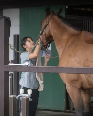 2026 Fuji Horse Show Summer GrandPrix ★★★ 

呼吸を合わせる。
心を整える。

#御殿場市馬術スポーツセンター  #人馬一体 #御殿場市