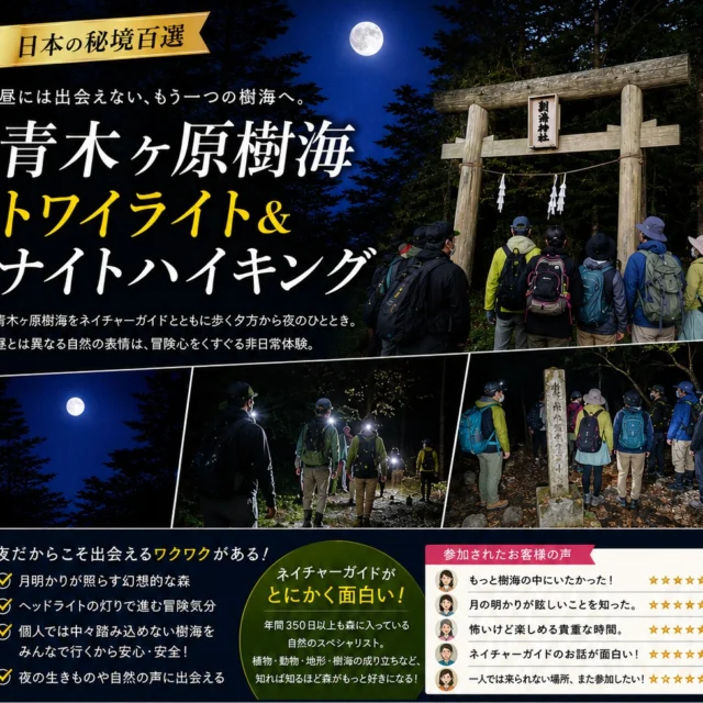 🌖夜だからこそ出会える、もう一つの樹海🌳

年間300日以上も森へ入り続ける
ネイチャーガイドと歩く特別な夜。

植物や動物、
溶岩がつくった地形、
樹海に残る自然の物語🌲

知れば知るほど
「樹海ってこんな場所だったんだ。」
そんな発見が待っています。

⭐️初めての方でも安心。

歩く距離は約5km、
高低差もほとんどありません。

ヘッドライトの灯りを頼りに、
みんなで歩くから安心。

昼とはまったく違う森の世界へご案内します。　　　　　　　　　　　　　　　　　　　　　　　　　　　　　　　

【青木ヶ原樹海トワイライト＆ナイトハイキング】
――――　――――　――――　　　　　　　　　　　　　　　　　　　　　　　　　
出発日　：8/21(金）15：30～　
旅行代金：9,900円
　　　　　バス代・ガイド代・保険代
歩行距離：約5㎞
歩行時間：約3時間
高低差　：ほぼなし
※行動食をお持ちください。
バス乗車地：御殿場駅乙女口

※詳細・お申込みはプロフィールに記載のURLをクリック！
―――　―――　―――　―――

■参加者の声
★★★★★
「もっと樹海の中にいたかった。」
★★★★★
「月明かりだけでこんなに明るいなんて初めて知りました。」
★★★★★
「少し怖い。でも、それ以上に面白い。」
★★★★★
「ガイドさんの話が本当に面白かった！」
★★★★★
「一人では絶対来られない場所。また参加したい。」

このツアーの魅力
🌙 月明かりが照らす幻想的な森
🌲 ガイドしか知らない自然の秘密
🦇 夜だから出会える森の生きもの
🔦 ヘッドライトで歩く冒険気分
😊 初心者でも安心のコース

この夏しか味わえない、
夜の樹海へ一緒に出かけて見せんか！？

#青木ヶ原樹海 #ナイトハイキング #トワイライトハイキング #樹海 #秘境 #絶景 #自然体験 #アウトドア #登山初心者 #ハイキング初心者 #静岡観光 #山梨観光 #富士山旅行 #週末旅行 #旅行好きな人と繋がりたい #大人の冒険 #自然ガイド #非日常体験 #御殿場
