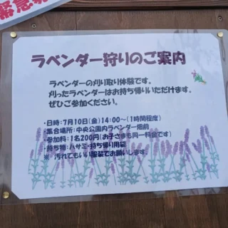 【ラベンダー狩りのご案内】🪻

御殿場市中央公園のラベンダー畑の刈り取り体験です。

刈ったラベンダーはお持ち帰りいただけます。

ドライフラワーやハンドメイド作品など用途はいろいろにご利用いただけます🪻🪻🪻

多数の皆さまのご参加をお待ちしております☺

日時:　7月10日(金)14時～
集合場所:　園内ラベンダー畑前
参加費:  1名200円
持ち物:  ハサミ.持ち帰り用袋

※作業に支障のない服装でお願いいたします。

#ラベンダー
#ドライフラワー
#御殿場市
#富士山の見える公園