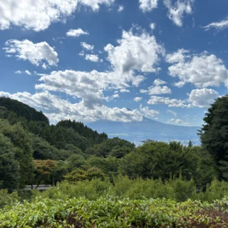 久しぶりに富士山が顔を見せてくれました。
乙女森林公園キャンプ場では、日中の気温は30℃を超える日も続きますが、ここは標高約600ｍで、朝晩は過ごしやすいキャンプ場です。
#御殿場市
#乙女森林公園キャンプ場
#夏休み
#富士山
#金時山
#箱根
#富士山の見えるキャンプ場
#富士登山
#ミクリ
#micri