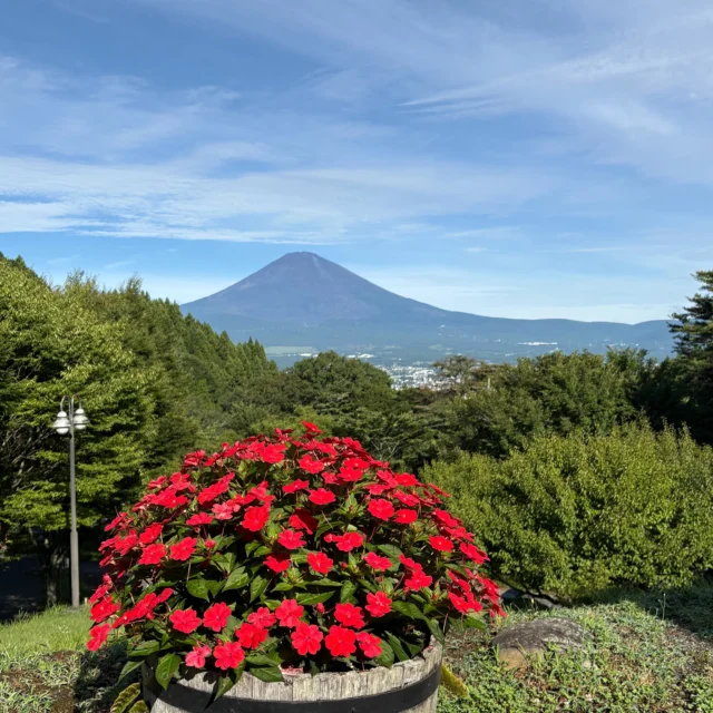 おはようございます。
今朝の気温は19℃、気持ち良い朝です。
春に植えたサンパチェンスもこんなに大きくなりました。秋まで花が咲き続けます。
8月後半、第1・第2キャンプ場ともまだまだ空きがありますので、ぜひご検討ください。
#御殿場市
#乙女森林公園キャンプ場
#富士山の見えるキャンプ場
#富士山
#箱根
#金時山
#サンパチェンス
#第1キャンプ場
#第2キャンプ場
#ミクリ
#micri