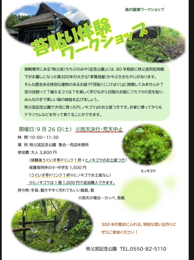 秩父宮記念公園9月のワークショップのお知らせです🌱

80年ほど前、秩父宮同妃両殿下がお暮らしになっていた、築300年の茅葺母屋がある秩歴史ある父宮記念公園の日陰のお庭で、実際に「苔貼り」を体験してみませんか？

今年の夏から新たに始めた、実際に秩父宮記念公園の庭園に「苔貼り」をするワークショップ。
夏のワークショップで貼っていただいたヒノキゴケたちは9月からの連日の雨で、周りの植物たちと共生しながら瑞々しく生き生きと根付いております。

苔の役割や植えるコツを楽しく学びながら、日陰の園路に美しい緑の絨毯を広げてみましょう🌱

開催日　9月26日(土)
時　間　10:00～
集合場所　秩父宮記念公園　売店休憩所
参加費　大人　3,800円(うぐいす亭ドリンク１杯、ヒノキゴケお土産つき)
　　　　小・中学生[保護者同伴]　1,500円(うぐいす亭ドリンク１杯、※ヒノキゴケお土産なし)
　　　　※ヒノキゴケは追加1,000円で購入できます。
　　　　※どなたも入園料・駐車場料金込み

持ち物　動きやすく汚れても構わない服装(長袖・長ズボン)・靴、虫除け対策
　　　　※雨天決行、荒天中止　雨天の場合はカッパや長靴をご用意ください。

今年は8月下旬から涼しい日が続き、秋の花の開花が例年よりも半月ほど早まっております。
シュウメイギクやホトトギス、ジャコウソウ、アキチョウジ、ヤマシロギク、シュウカイドウなどの植物に囲まれながら秋の庭園での苔貼りをぜひお楽しみください。
ヤブミョウガの実やサンショウの実も赤く色づいております。
園内では早くもキンモクセイが開花を始め、甘く華やかな香りが漂っております。

 #秩父宮記念公園
 #茅葺母屋
 #ワークショップ
 #苔
 #秋の庭園